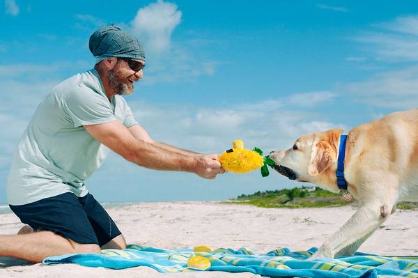 P.L.A.Y Tropical Paradise Squeaky Plush Dog Toy - Paws Up Pineapple