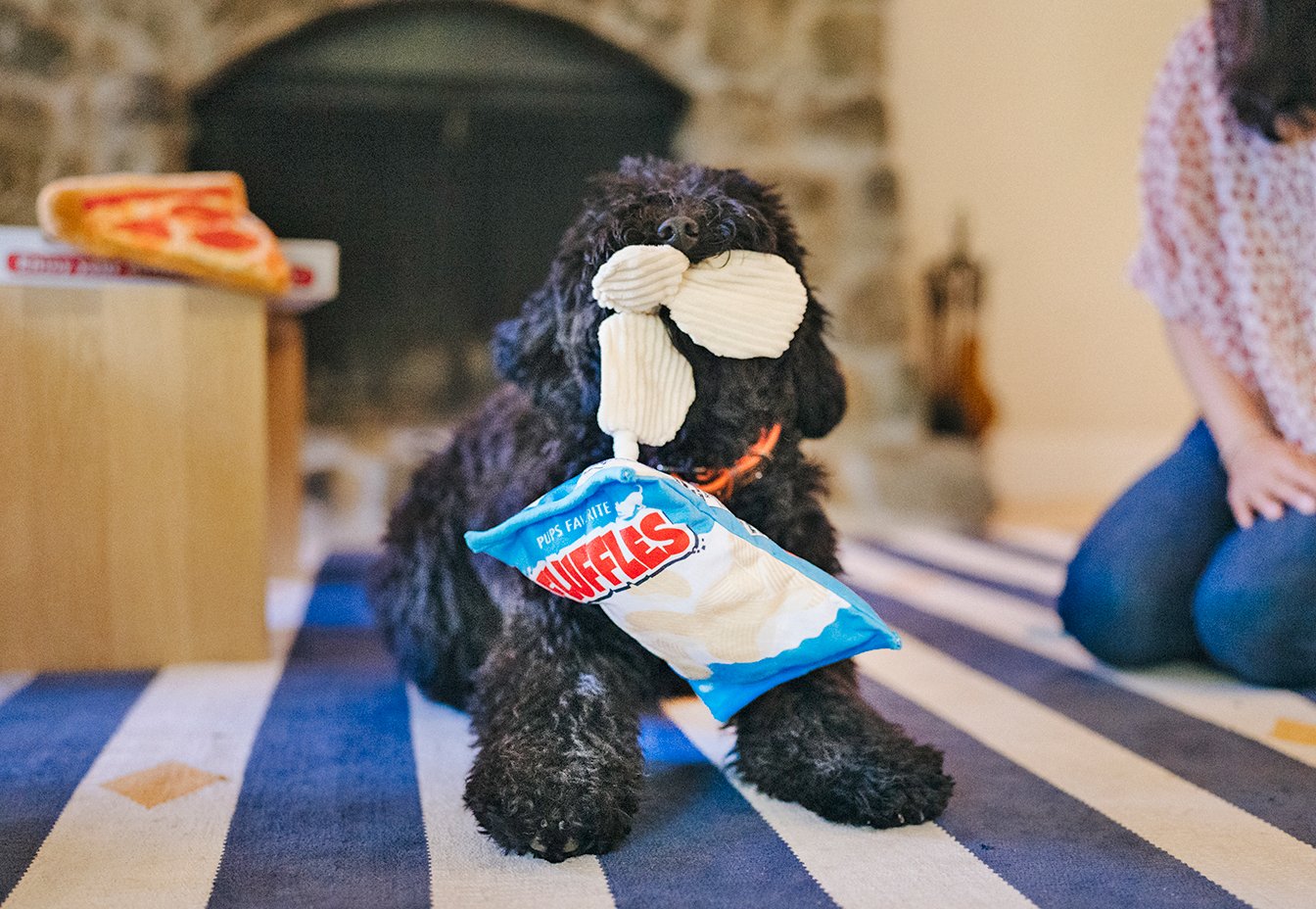 P.L.A.Y Snack Attack Crinkly Fluffles Chips Dog Toy