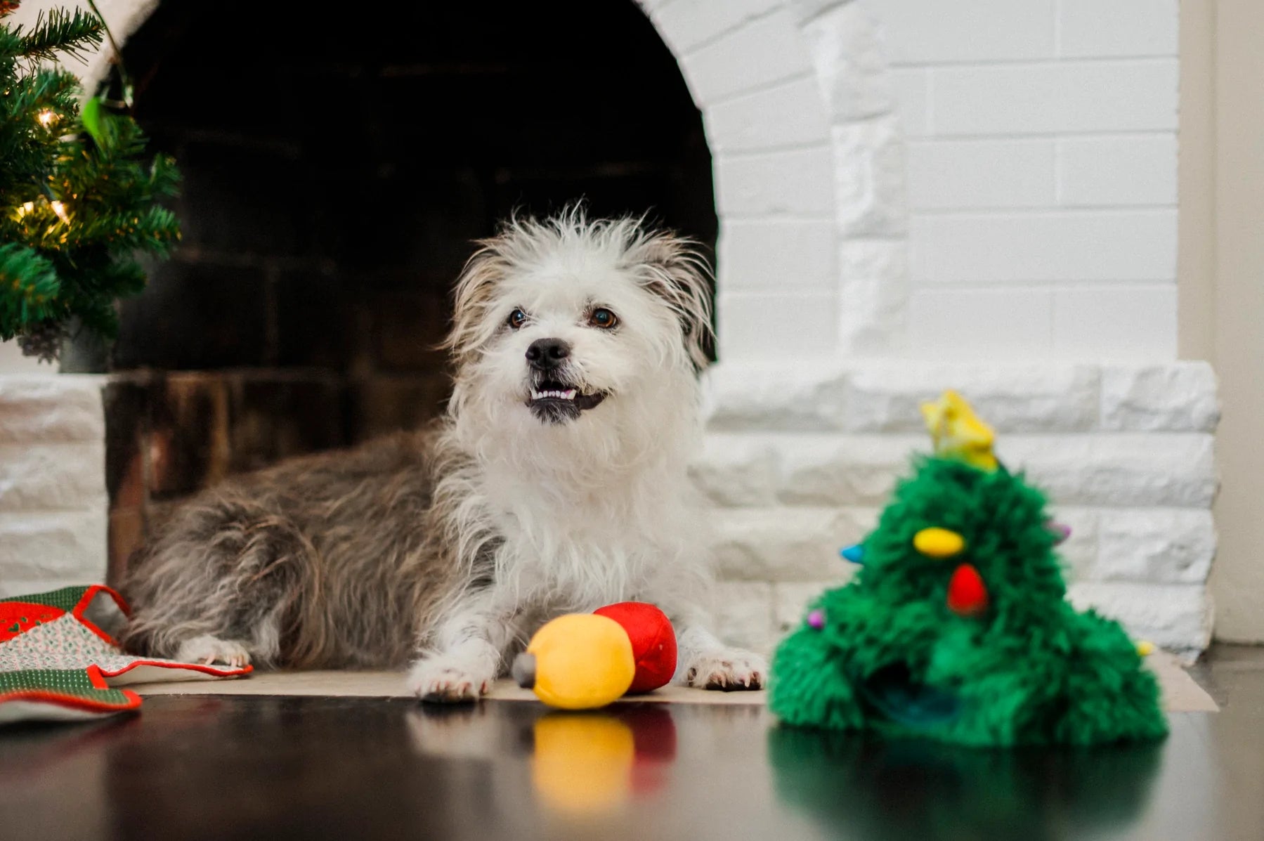 P.L.A.Y Merry Woofmas: Douglas Fur