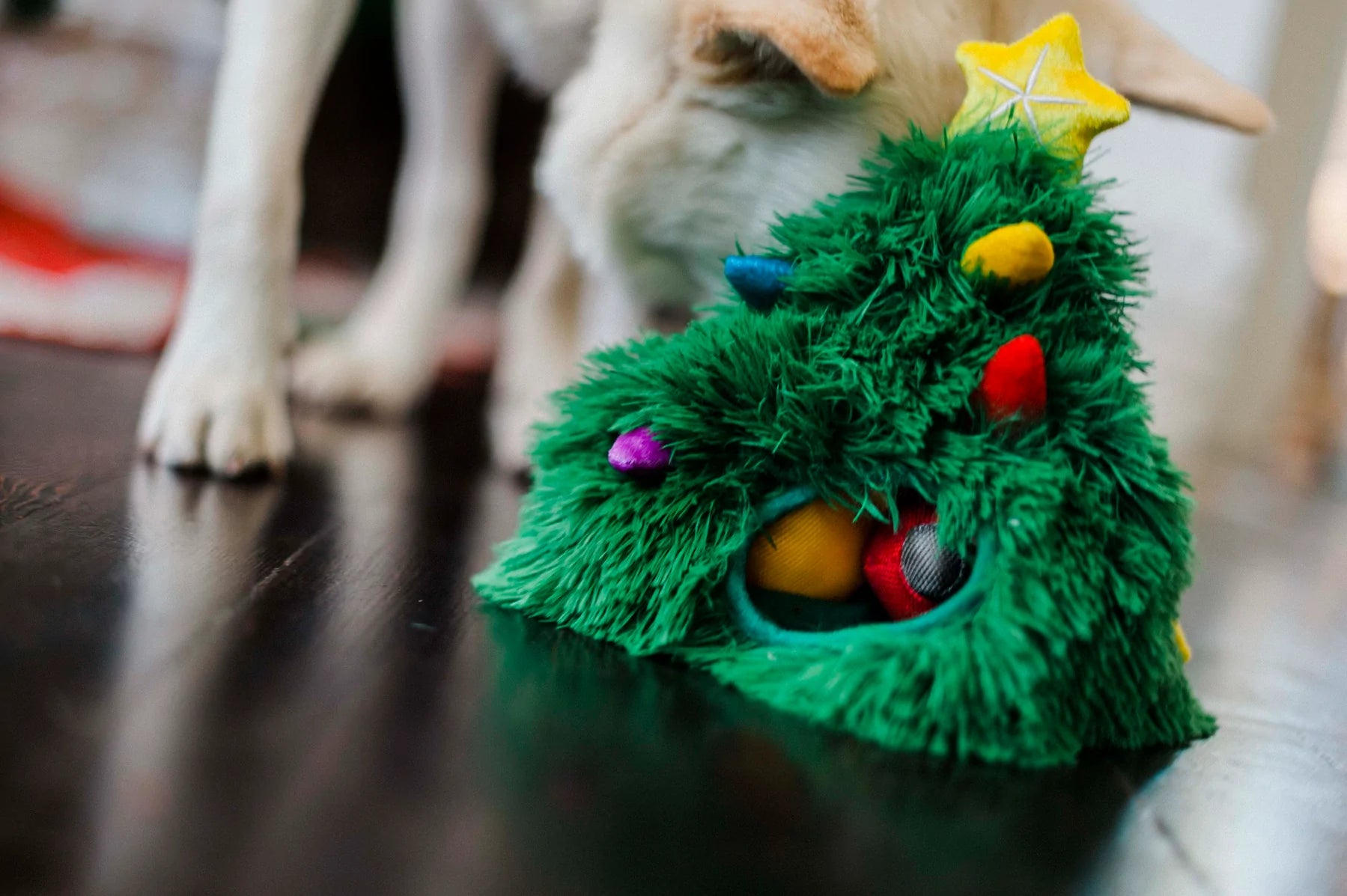 P.L.A.Y Merry Woofmas: Douglas Fur
