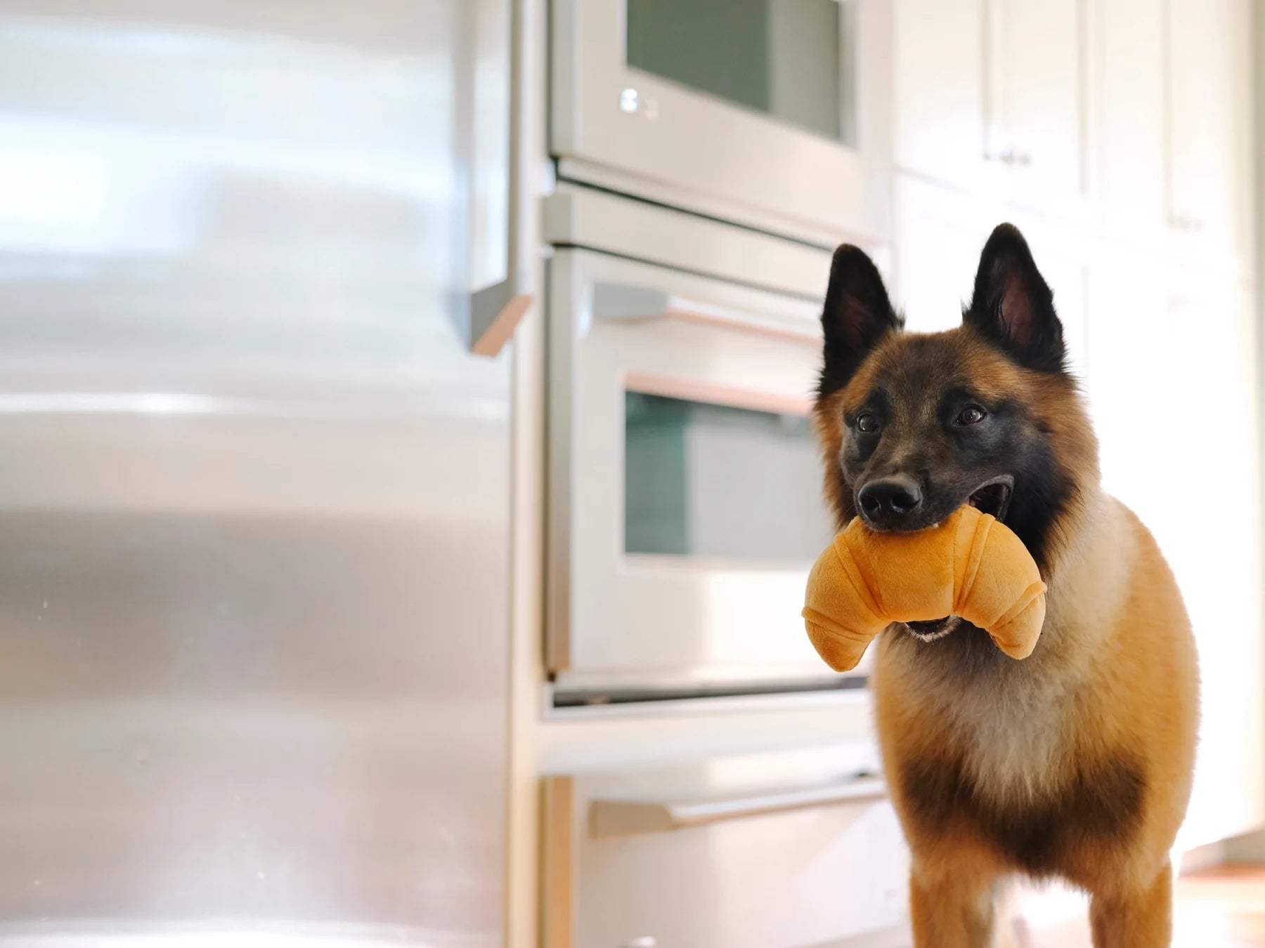 P.L.A.Y Barking Brunch Pup's Pastry Dog Toy