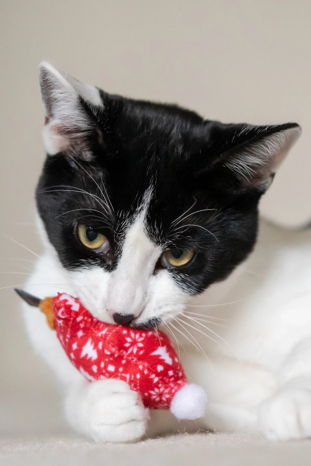 P.L.A.Y Feline Frenzy Catnip Toy Set: Meowy Christmas
