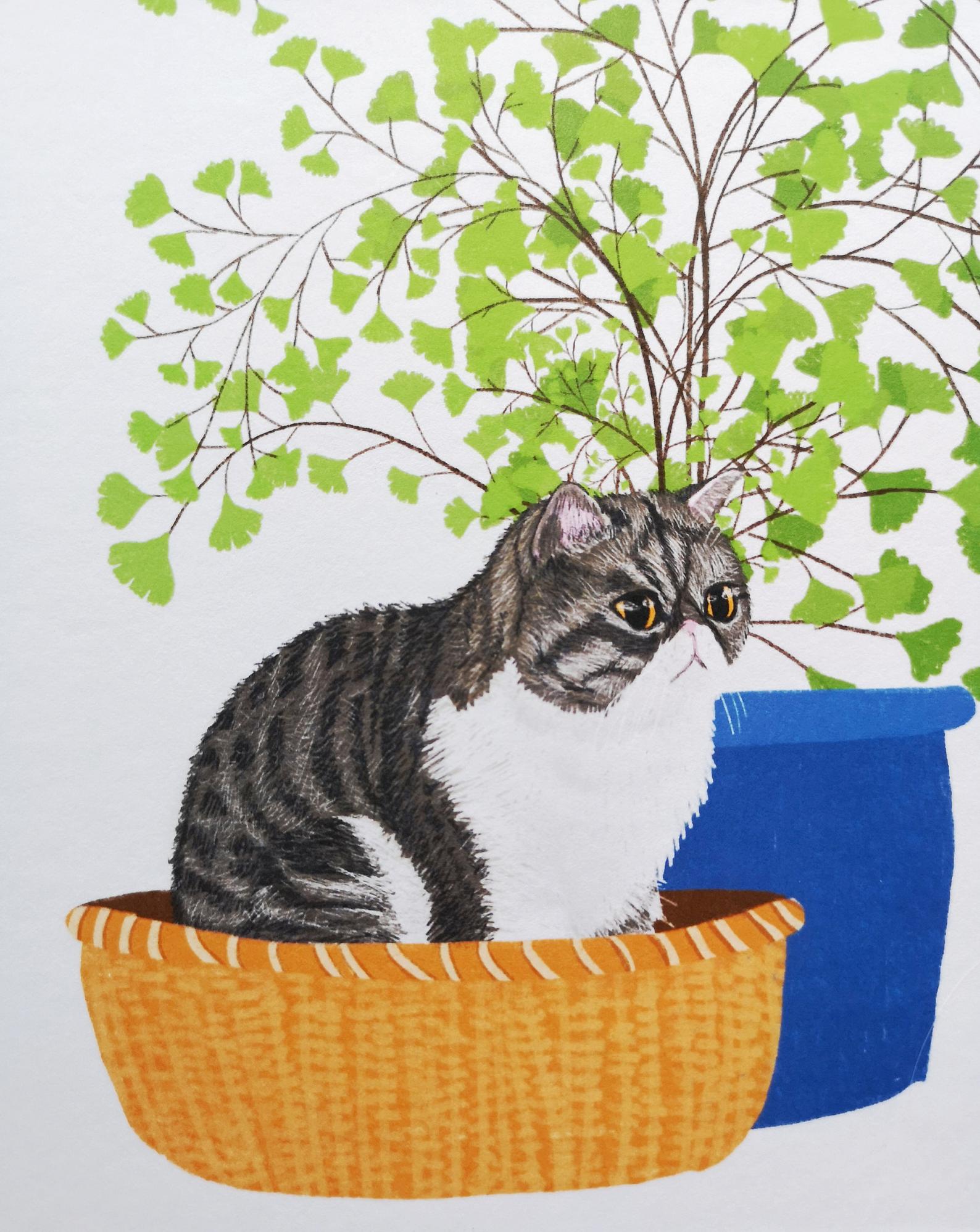 Cat & Maidenhair Fern Print