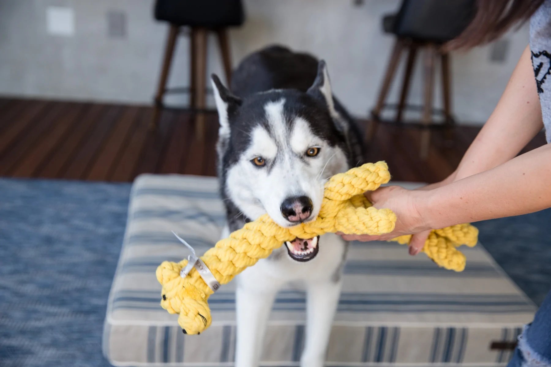Ⓛ Jax & Bones Jerry the Giraffe Rope Dog Toy