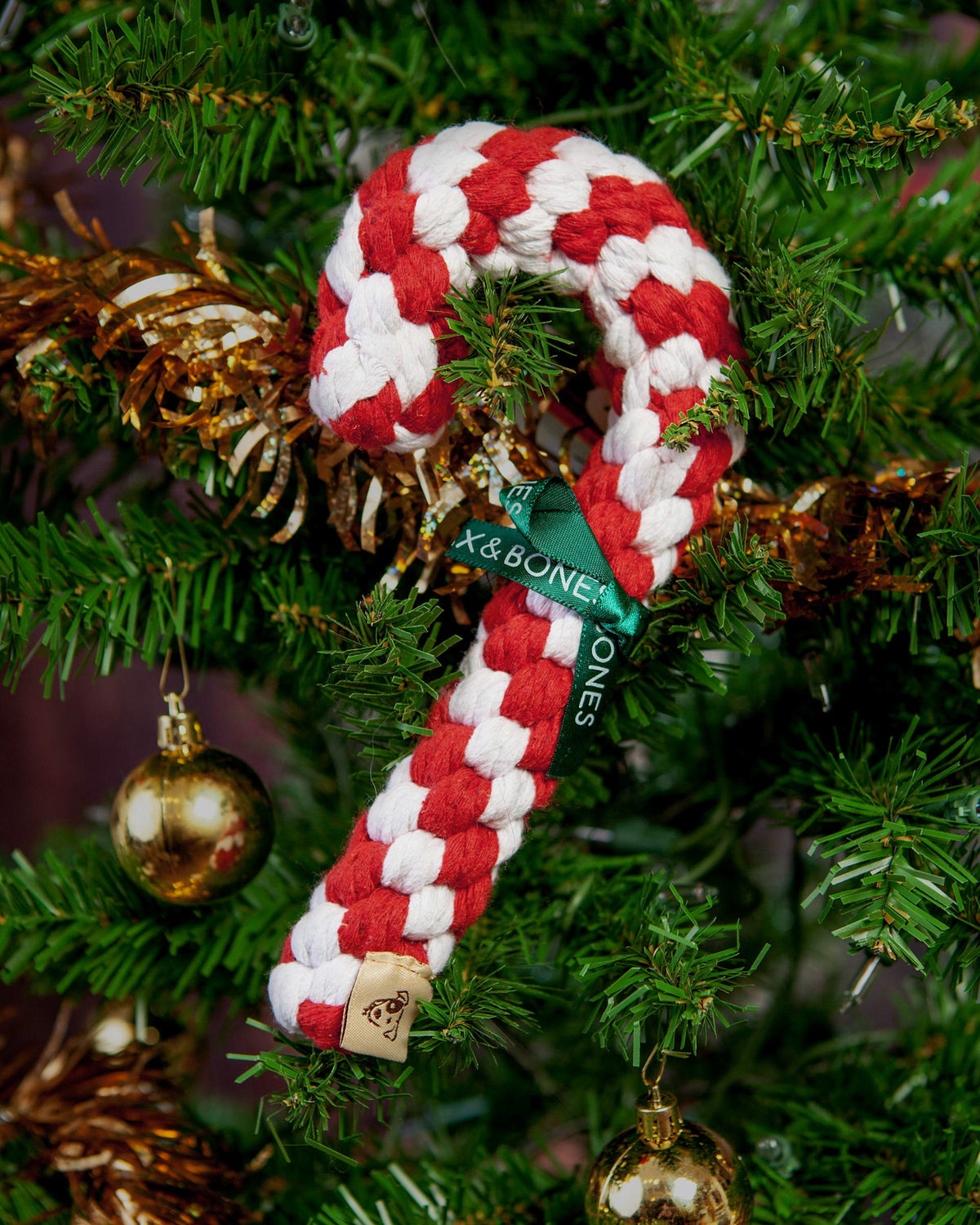 Ⓛ Jax & Bones Candy Cane Rope Dog Toy