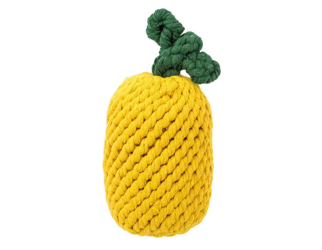 Ⓛ Jax & Bones Pineapple 8" Rope Dog Toy
