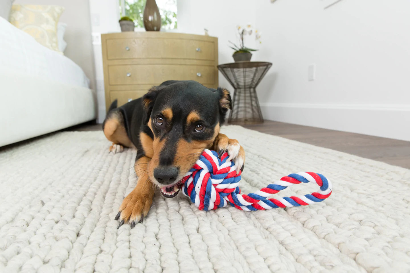 Ⓗ Jax & Bones Celtic Knot Rope Dog Toy