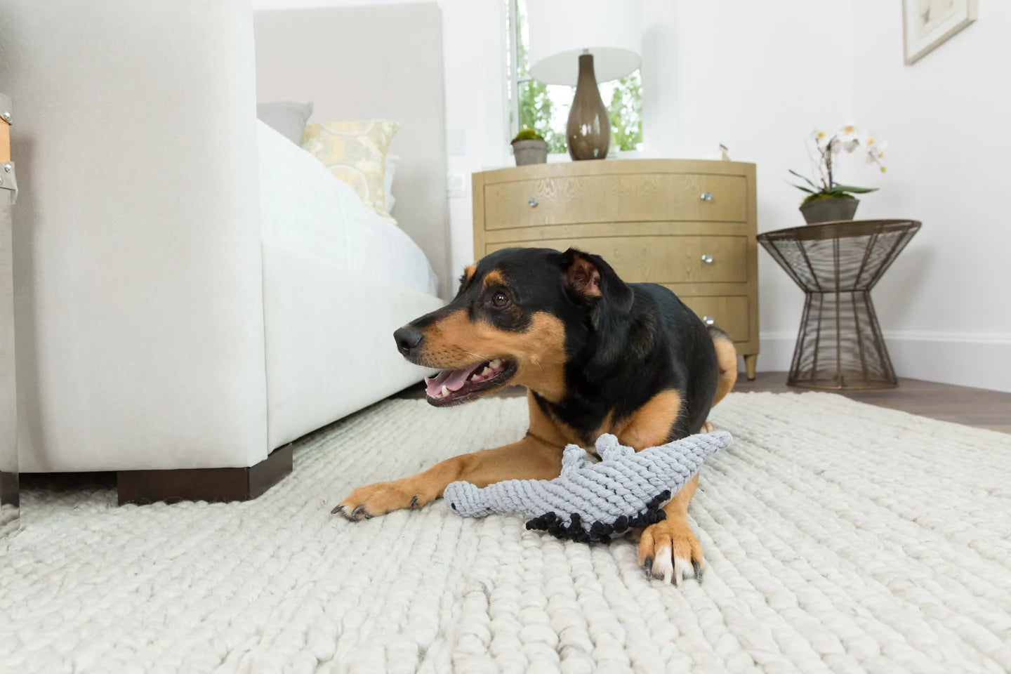 Ⓗ Jax & Bones Stew The Stegosaurus Grey 13" Rope Dog Toy